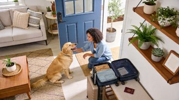 pet-and-house-sitting-travel-dog